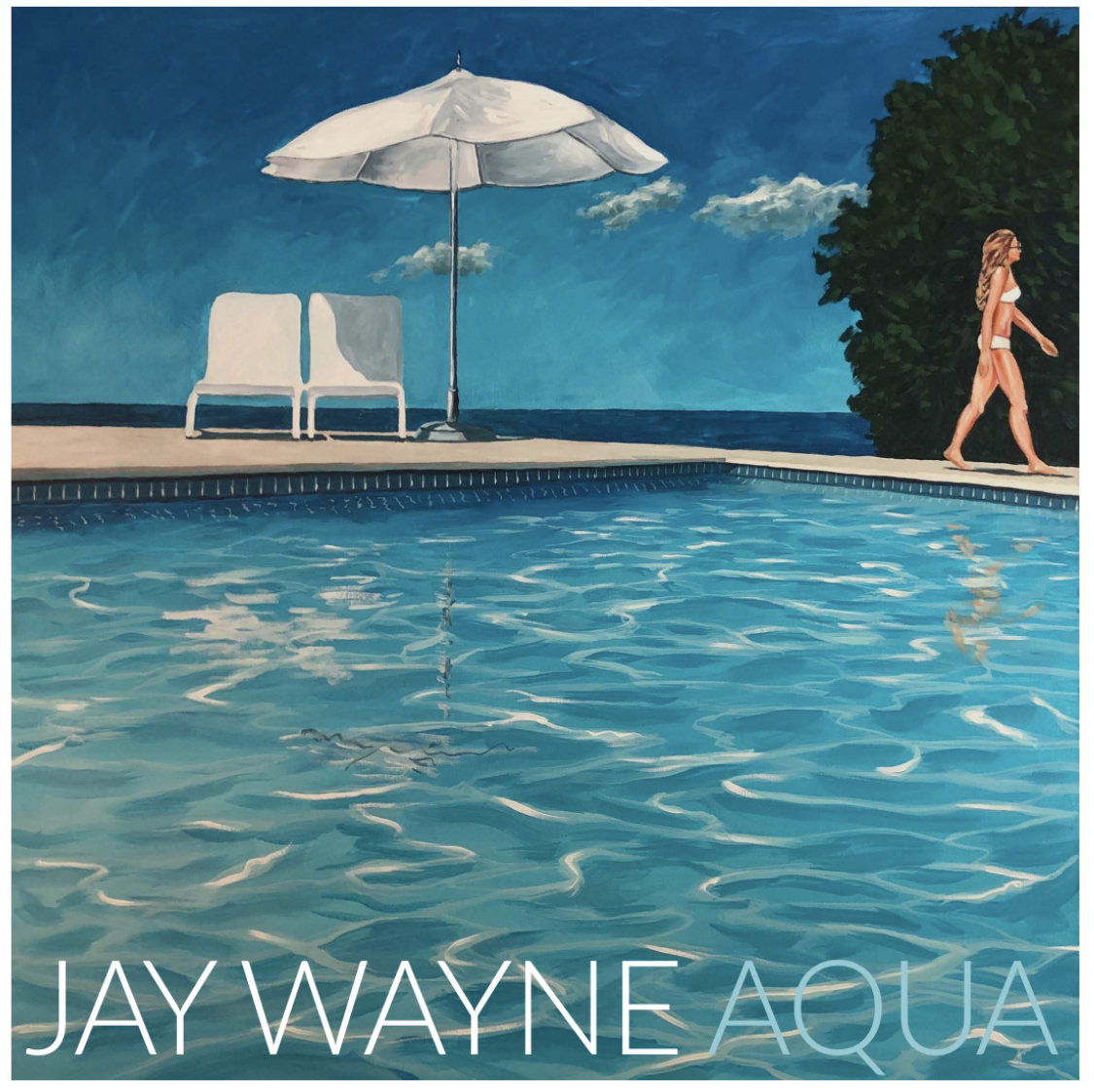 Jay Wayne: Dark Blue